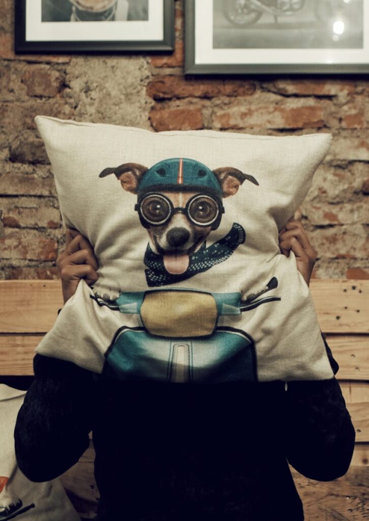 Photo by Afta Putta Gunawan Creative pillow design featuring a whimsical illustration of a dog with goggles indoors.
